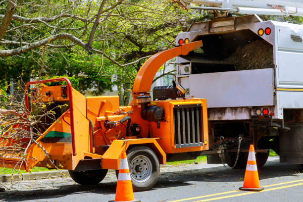 Best Hazardous Tree Removal  in Centerville, CA